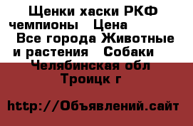 Щенки хаски РКФ чемпионы › Цена ­ 90 000 - Все города Животные и растения » Собаки   . Челябинская обл.,Троицк г.